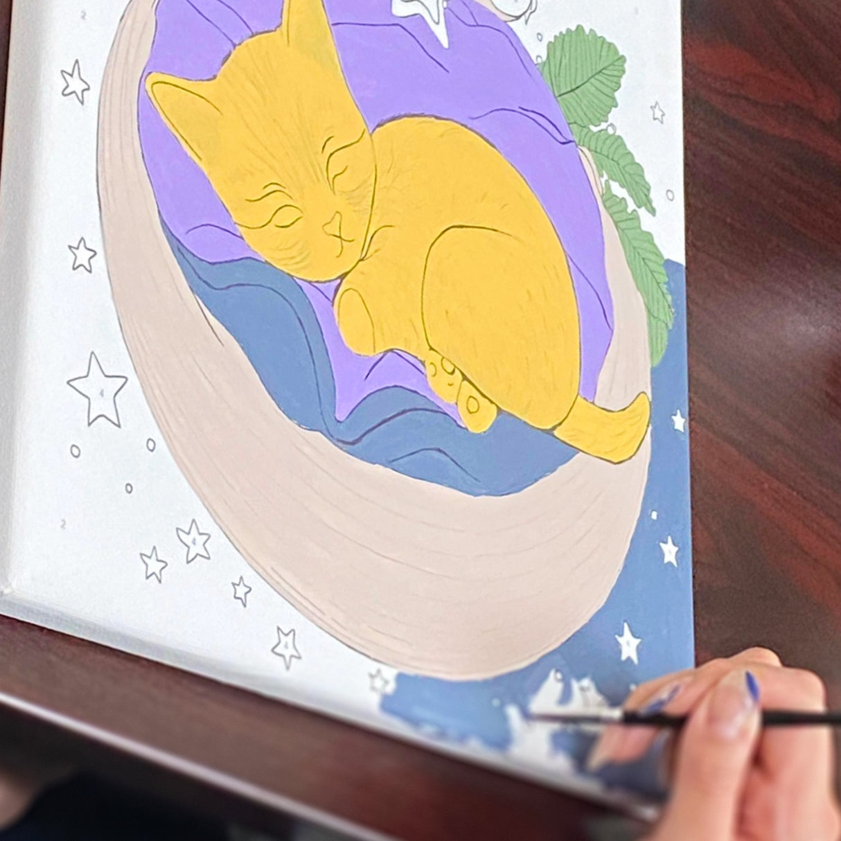 Angels Craft Paint by Number Canvas Set - Dreamy Whiskers