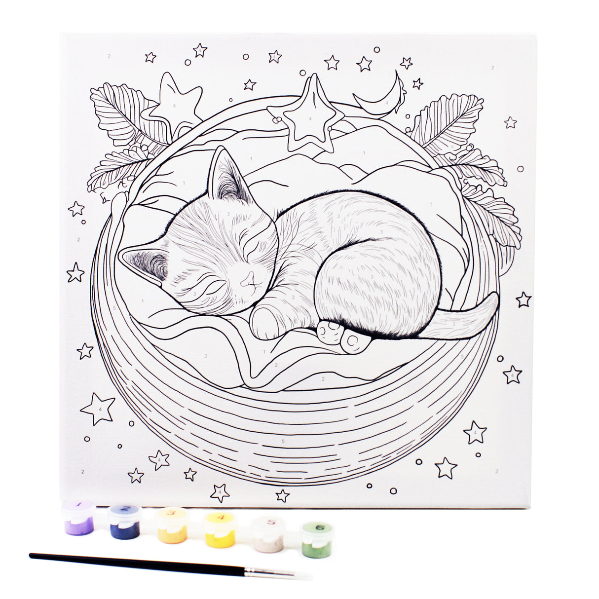 Angels Craft Paint by Number Canvas Set - Dreamy Whiskers