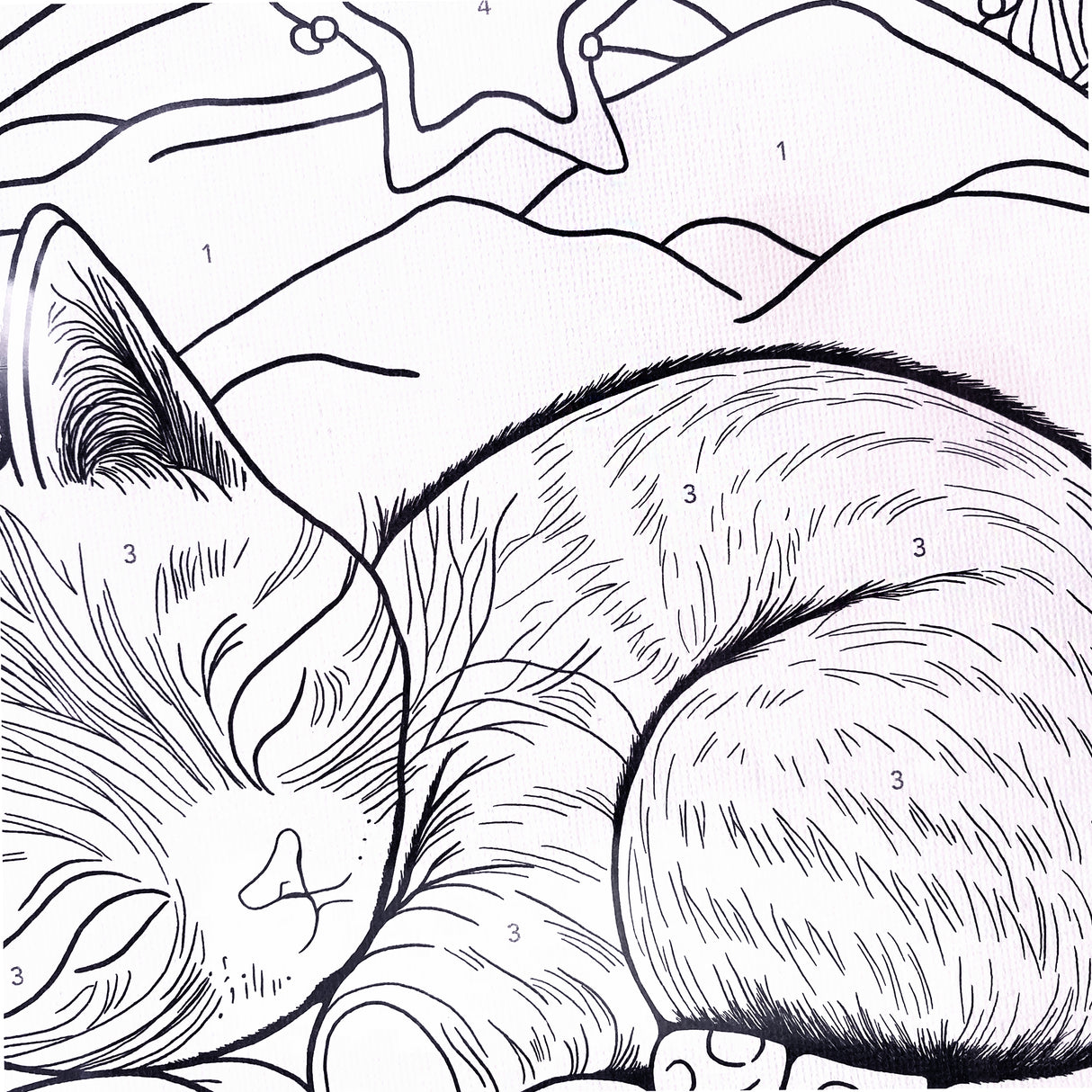 Angels Craft Paint by Number Canvas Set - Dreamy Whiskers