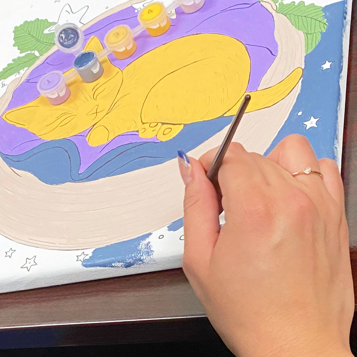 Angels Craft Paint by Number Canvas Set - Dreamy Whiskers