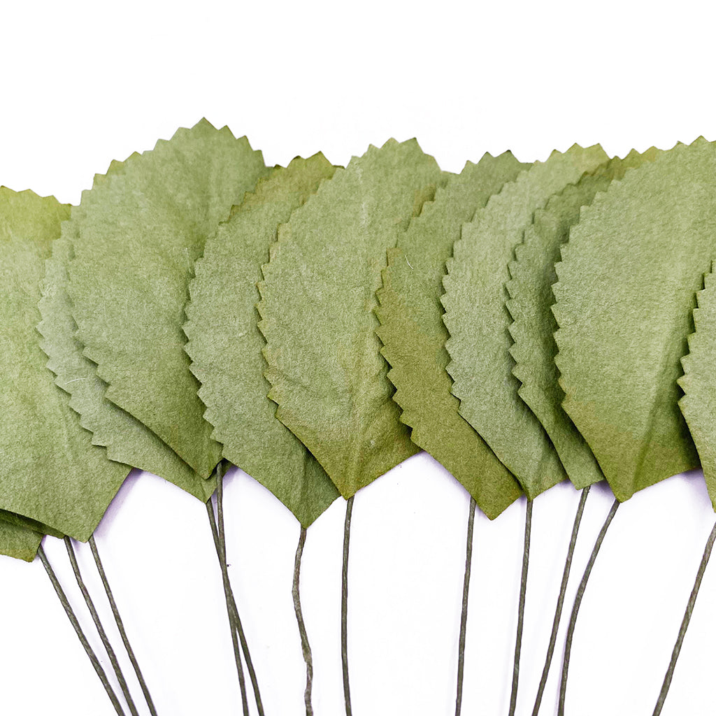 Artificial Green Leaves Collection - 2 Options