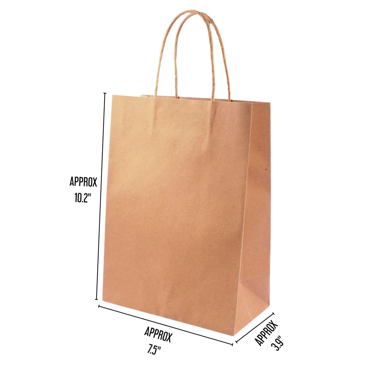 Angels Craft 12 Pcs Kraft Bag 10" x 7" - Natural Color