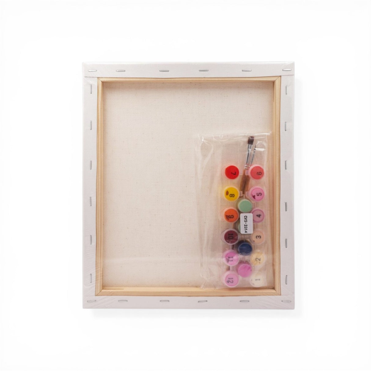 Paint-by-Number Kits (Assorted Styles)