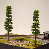 Tall & Slim Miniature Columnar Pine Trees