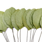 Artificial Green Leaves Collection - 2 Options