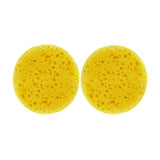 Angels Craft 2 Count Art Sponge